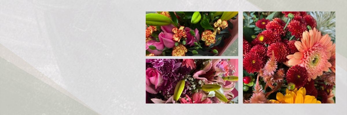 Banner-SoloFlores_1.jpg