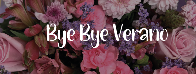 Bye Bye Verano