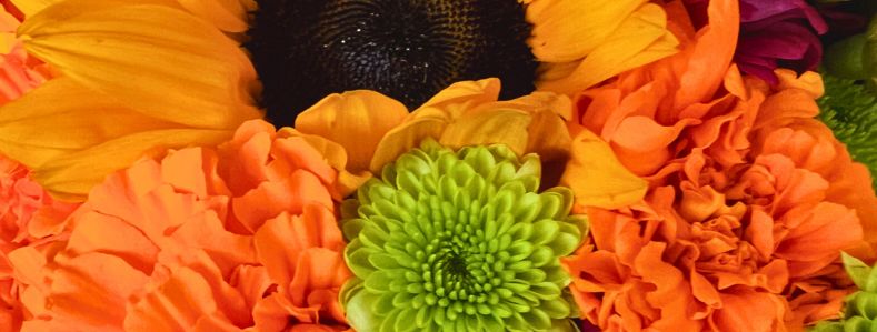 Llena de Vida a Tu Altar con Flores