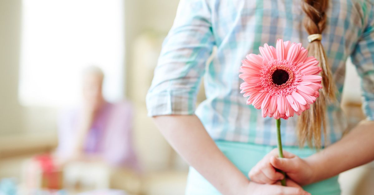 ¿Cuáles son las mejores flores para regalar durante el verano?