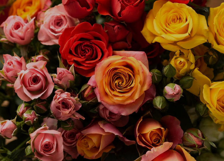 Flores para Papá