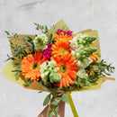Ramo Gerberas, MiniRosas y Snap - Nayarit
